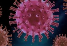 corona_virus