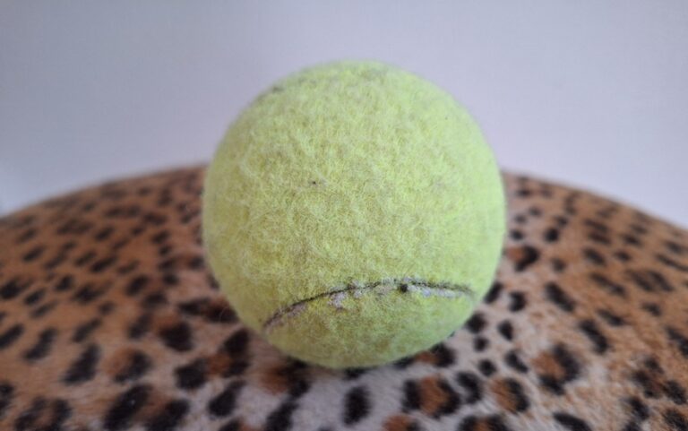 Masseren met bevroren tennisbal effectief bij fasciitis plantaris Tennisbal is handig om voetzool te masseren
